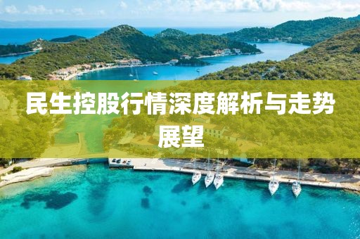 民生控股行情深度解析与走势展望