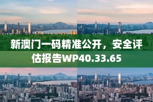 新澳门一码精准公开，安全评估报告WP40.33.65