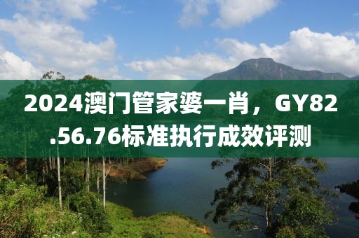 2024澳门管家婆一肖，GY82.56.76标准执行成效评测