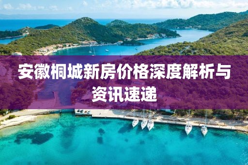 安徽桐城新房价格深度解析与资讯速递