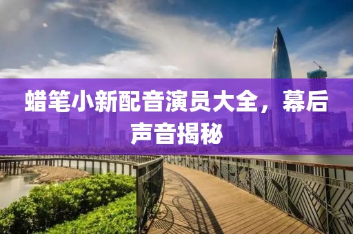 蜡笔小新配音演员大全，幕后声音揭秘