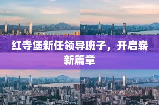 红寺堡新任领导班子，开启崭新篇章