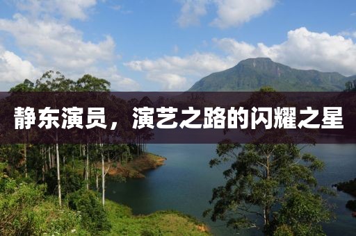 静东演员，演艺之路的闪耀之星