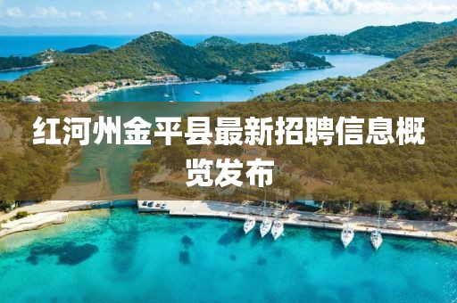 红河州金平县最新招聘信息概览发布