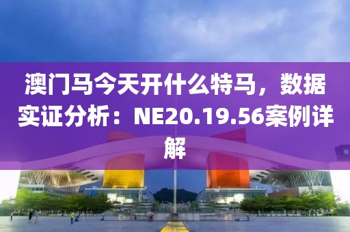 澳门马今天开什么特马，数据实证分析：NE20.19.56案例详解