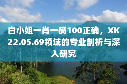 白小姐一肖一码100正确，XK22.05.69领域的专业剖析与深入研究