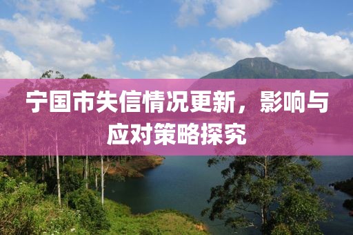 宁国市失信情况更新，影响与应对策略探究