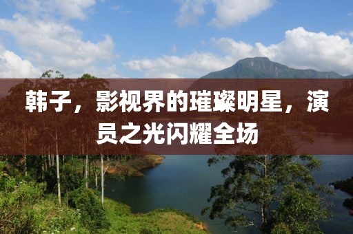 韩子，影视界的璀璨明星，演员之光闪耀全场