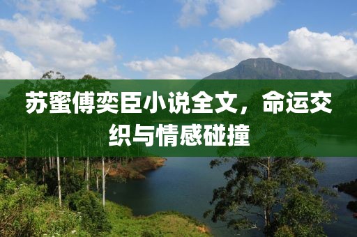 苏蜜傅奕臣小说全文，命运交织与情感碰撞