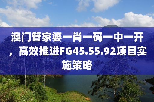 澳门管家婆一肖一码一中一开，高效推进FG45.55.92项目实施策略