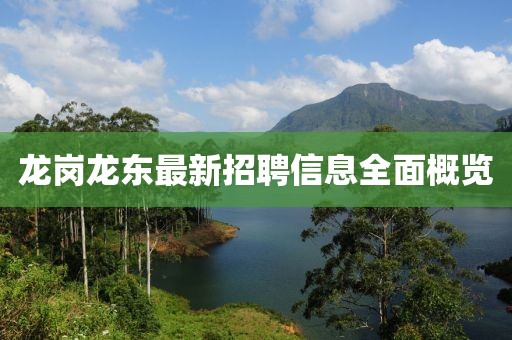 龙岗龙东最新招聘信息全面概览