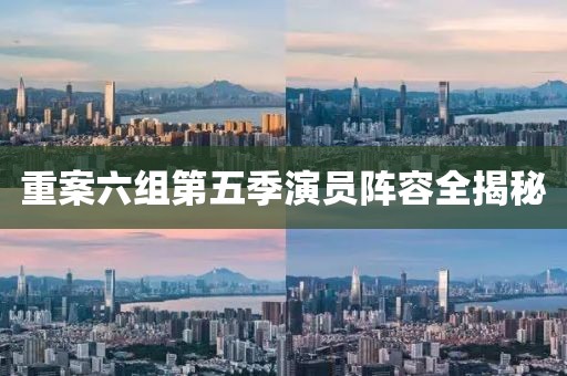 重案六组第五季演员阵容全揭秘
