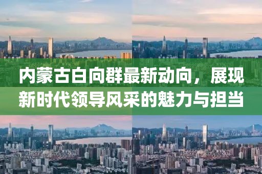 内蒙古白向群最新动向，展现新时代领导风采的魅力与担当