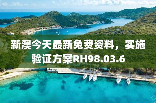 新澳今天最新兔费资料，实施验证方案RH98.03.6