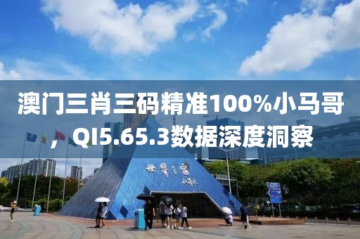 澳门三肖三码精准100%小马哥，QI5.65.3数据深度洞察