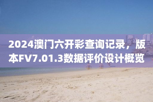 2024澳门六开彩查询记录，版本FV7.01.3数据评价设计概览