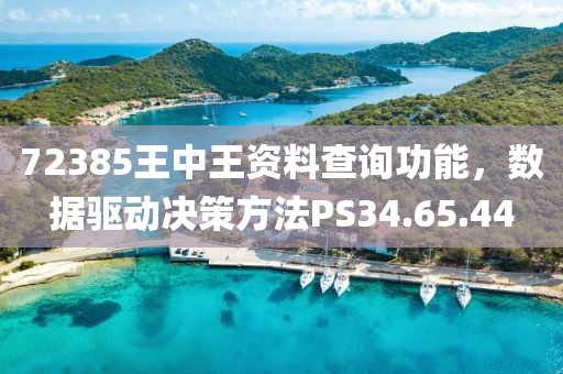 72385王中王资料查询功能，数据驱动决策方法PS34.65.44