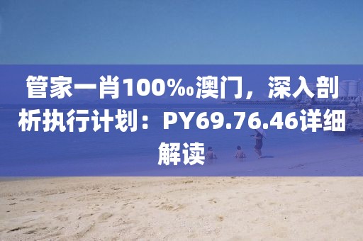 管家一肖100‰澳门，深入剖析执行计划：PY69.76.46详细解读