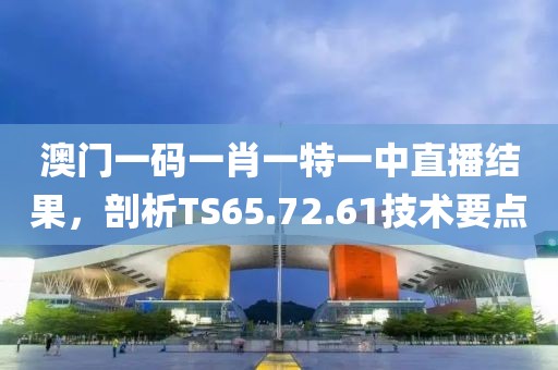澳门一码一肖一特一中直播结果，剖析TS65.72.61技术要点