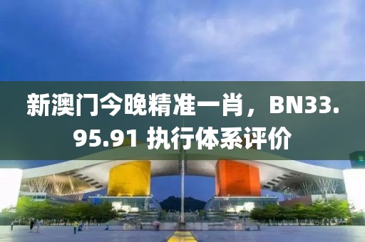 新澳门今晚精准一肖，BN33.95.91 执行体系评价