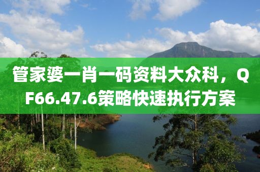 管家婆一肖一码资料大众科，QF66.47.6策略快速执行方案