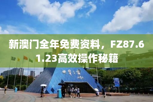 新澳门全年免费资料，FZ87.61.23高效操作秘籍