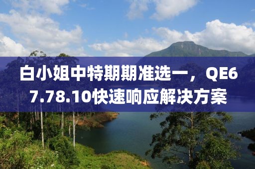 白小姐中特期期准选一，QE67.78.10快速响应解决方案