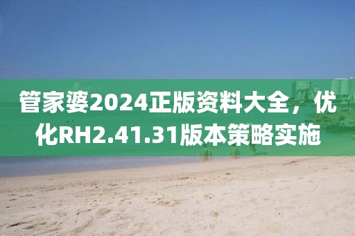 管家婆2024正版资料大全，优化RH2.41.31版本策略实施