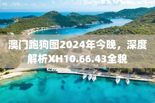澳门跑狗图2024年今晚，深度解析XH10.66.43全貌