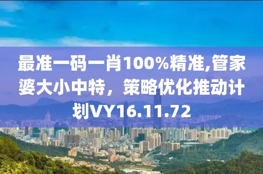 最准一码一肖100%精准,管家婆大小中特，策略优化推动计划VY16.11.72