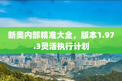 新奥内部精准大全，版本1.97.3灵活执行计划