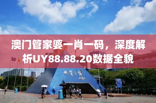 澳门管家婆一肖一码，深度解析UY88.88.20数据全貌