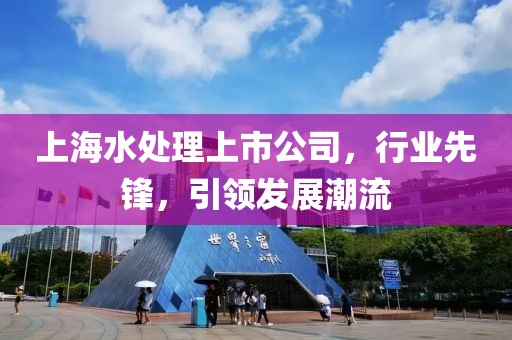 上海水处理上市公司，行业先锋，引领发展潮流