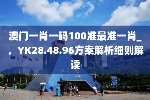 澳门一肖一码100准最准一肖_，YK28.48.96方案解析细则解读