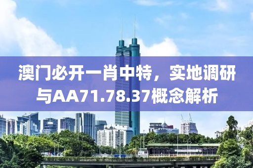 澳门必开一肖中特，实地调研与AA71.78.37概念解析