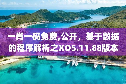 一肖一码免费,公开，基于数据的程序解析之XO5.11.88版本