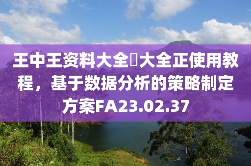 王中王资料大全枓大全正使用教程，基于数据分析的策略制定方案FA23.02.37