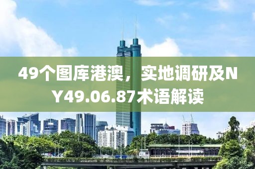 49个图库港澳，实地调研及NY49.06.87术语解读