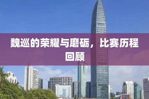 魏巡的荣耀与磨砺，比赛历程回顾
