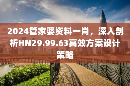 2024管家婆资料一肖，深入剖析HN29.99.63高效方案设计策略