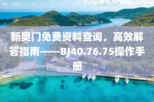 新奥门免费资料查询，高效解答指南——BJ40.76.75操作手册