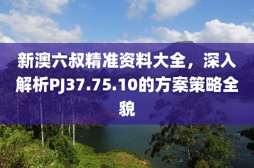 新澳六叔精准资料大全，深入解析PJ37.75.10的方案策略全貌