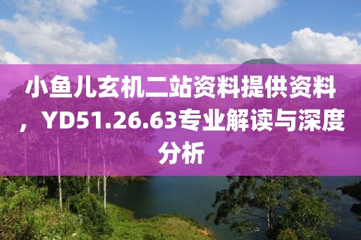 小鱼儿玄机二站资料提供资料，YD51.26.63专业解读与深度分析
