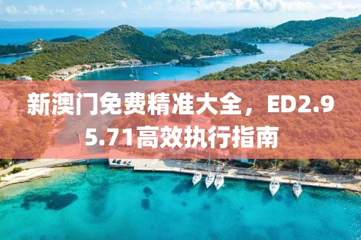 新澳门免费精准大全，ED2.95.71高效执行指南