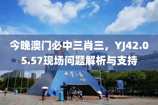 今晚澳门必中三肖三，YJ42.05.57现场问题解析与支持
