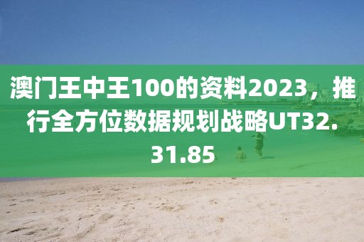 澳门王中王100的资料2023，推行全方位数据规划战略UT32.31.85