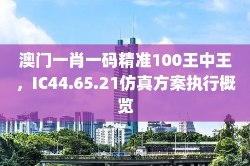 澳门一肖一码精准100王中王，IC44.65.21仿真方案执行概览