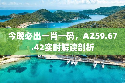 今晚必出一肖一码，AZ59.67.42实时解读剖析