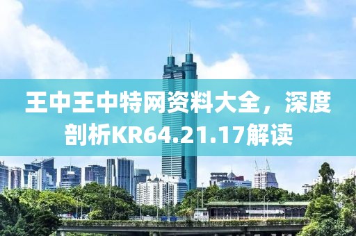 王中王中特网资料大全，深度剖析KR64.21.17解读