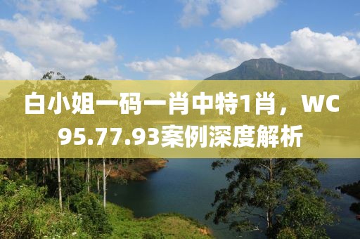 白小姐一码一肖中特1肖，WC95.77.93案例深度解析